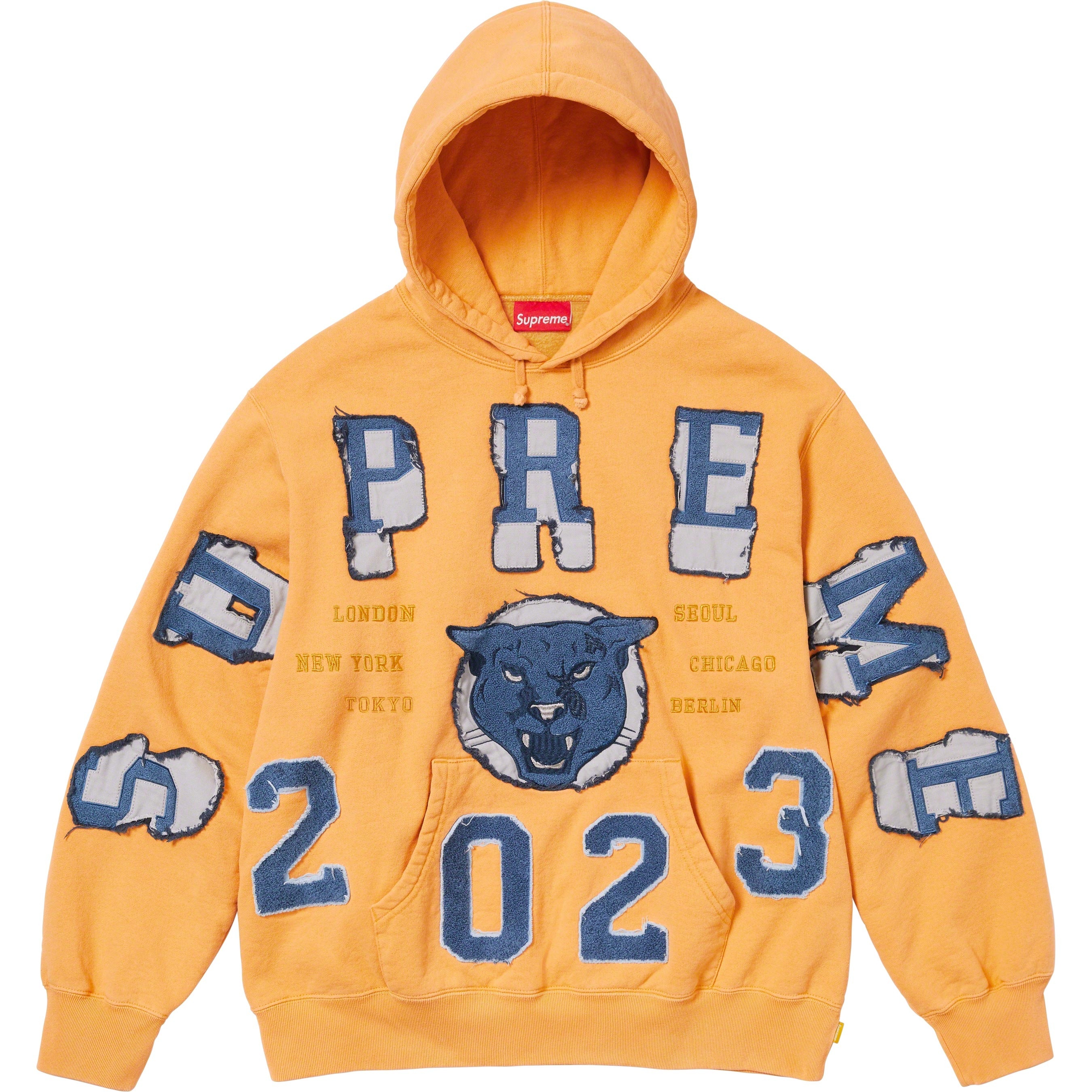 Washed Panther Hooded Sweatshirt view 8